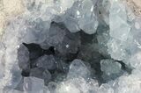 Celestine (Celestite) Crystal Geode - Madagascar #64836-2